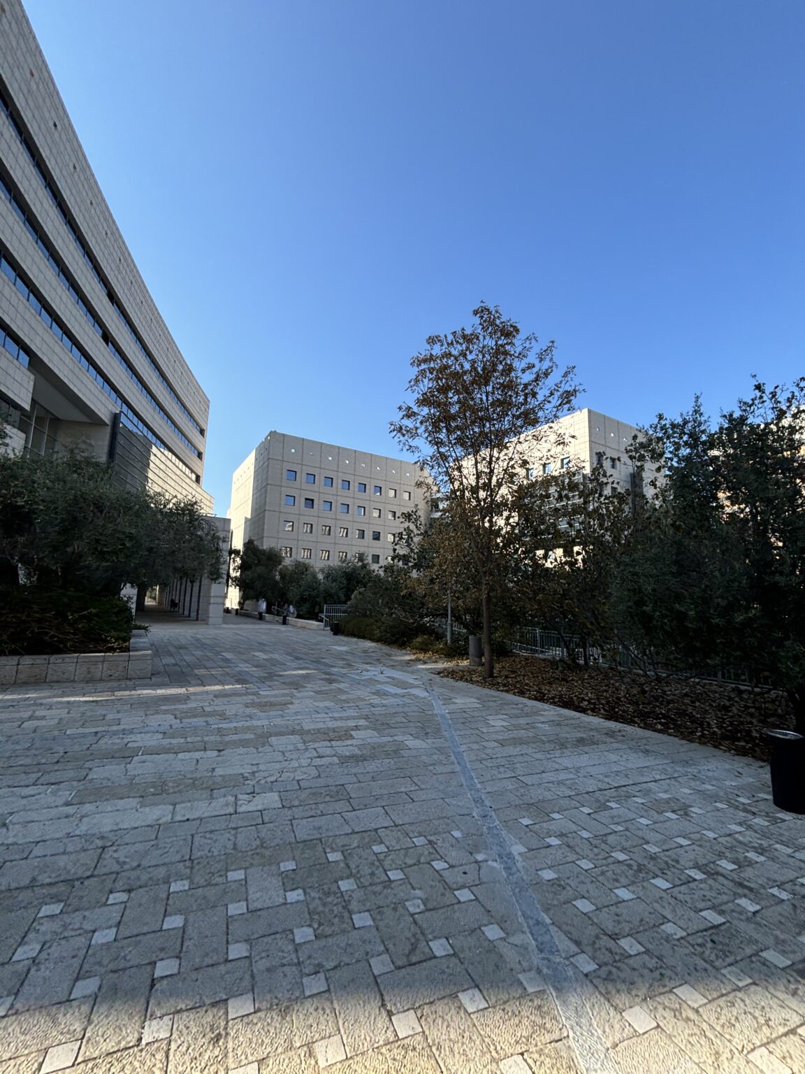 להשכרה: חללי אופן ספייס חדרים בעיר התחתית – מתחם ספייס המבוקש!